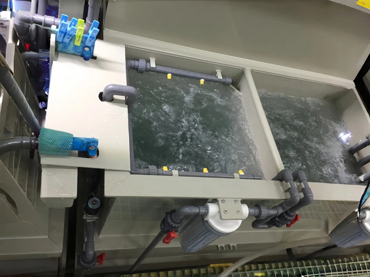 Internal pipework and nozzles inside an electroplating process tank